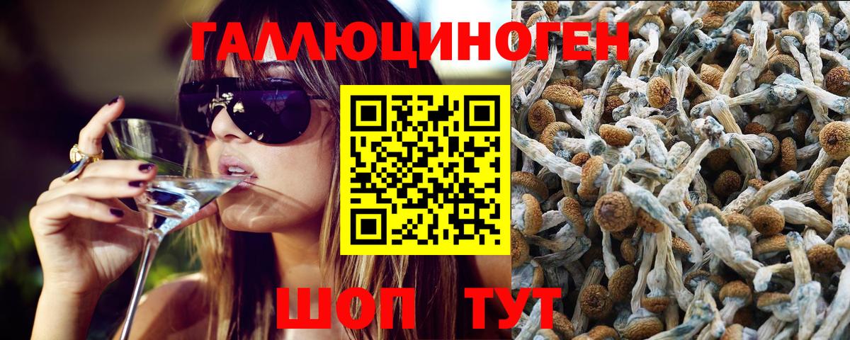 Новый Уренгой  закладки  Вход с VPN  Псилоцибиновые грибы Magic Shrooms 